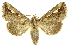  ( - INBIOCRI000534586)  @15 [ ] Copyright (2012) J. Montero INBio