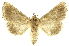  ( - INBIOCRI000534586)  @13 [ ] Copyright (2012) J. Montero INBio
