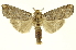  ( - INBIOCRI000542489)  @11 [ ] Copyright (2012) Juan Mata Lorenzen INBio