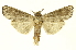  ( - INBIOCRI000542489)  @11 [ ] Copyright (2012) Juan Mata Lorenzen INBio
