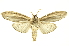  ( - INBIOCRI000544088)  @11 [ ] Copyright (2012) Juan Mata Lorenzen INBio