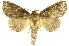  ( - INBIOCRI000544736)  @14 [ ] Copyright (2012) J. Montero INBio
