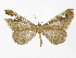  ( - INBIOCRI000551959)  @11 [ ] Copyright (2012) J. Montero Instituto Nacional de Biodiversidad