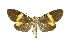  ( - INBIOCRI000557087)  @14 [ ] Copyright (2012) Juan Mata Lorenzen INBio