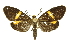  ( - INBIOCRI000557088)  @14 [ ] Copyright (2012) Juan Mata Lorenzen INBio