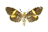  ( - INBIOCRI000557088)  @13 [ ] Copyright (2012) Juan Mata Lorenzen INBio