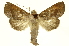  ( - INBIOCRI000575311)  @15 [ ] Copyright (2012) Juan Mata Lorenzen INBio