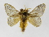  ( - INBIOCRI000575764)  @11 [ ] Copyright (2012) J. Montero Instituto Nacional de Biodiversidad
