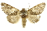  ( - INBIOCRI000575792)  @14 [ ] Copyright (2012) J. Montero INBio