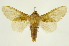  ( - INBIOCRI000575805)  @11 [ ] Copyright (2012) J. Montero INBio