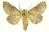  ( - INBIOCRI000575805)  @11 [ ] Copyright (2012) J. Montero INBio