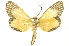  ( - INBIOCRI000641007)  @11 [ ] Copyright (2012) Juan Mata Lorenzen INBio