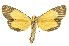  ( - INBIOCRI000642948)  @11 [ ] Copyright (2012) Juan Mata Lorenzen INBio