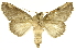  ( - INBIOCRI000674436)  @14 [ ] Copyright (2012) J. Montero INBio