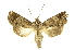  ( - INBIOCRI000674466)  @11 [ ] Copyright (2012) Juan Mata Lorenzen INBio