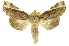  ( - INBIOCRI000674499)  @14 [ ] Copyright (2012) J. Montero INBio