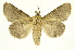 ( - INBIOCRI000694659)  @14 [ ] Copyright (2012) J. Montero INBio