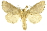  ( - INBIOCRI000697564)  @13 [ ] Copyright (2012) J. Montero INBio