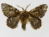  ( - INBIOCRI000697606)  @13 [ ] Copyright (2012) J. Montero Instituto Nacional de Biodiversidad