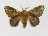  ( - INBIOCRI000697606)  @12 [ ] Copyright (2012) J. Montero Instituto Nacional de Biodiversidad