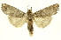  ( - INBIOCRI000697800)  @14 [ ] Copyright (2012) Juan Mata Lorenzen INBio