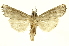  ( - INBIOCRI000697800)  @13 [ ] Copyright (2012) Juan Mata Lorenzen INBio