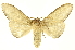  ( - INBIOCRI000707456)  @11 [ ] Copyright (2012) Juan Mata Lorenzen INBio