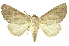  ( - INBIOCRI000712444)  @15 [ ] Copyright (2012) Juan Mata Lorenzen INBio