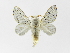  ( - INBIOCRI000752138)  @11 [ ] Copyright (2012) J. Montero Instituto Nacional de Biodiversidad