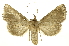  ( - INBIOCRI000755170)  @13 [ ] Copyright (2012) J. Montero INBio