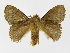  ( - INBIOCRI000755223)  @12 [ ] Copyright (2012) J. Montero Instituto Nacional de Biodiversidad