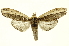  ( - INBIOCRI000755271)  @14 [ ] Copyright (2012) Juan Mata Lorenzen INBio
