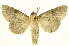  ( - INBIOCRI000782802)  @13 [ ] Copyright (2012) J. Montero INBio