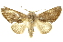  ( - INBIOCRI000782887)  @13 [ ] Copyright (2012) Juan Mata Lorenzen INBio