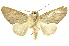  ( - INBIOCRI000782887)  @13 [ ] Copyright (2012) Juan Mata Lorenzen INBio