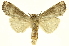  ( - INBIOCRI000804803)  @11 [ ] Copyright (2012) Juan Mata Lorenzen INBio