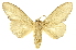  ( - INBIOCRI000808030)  @11 [ ] Copyright (2012) Juan Mata Lorenzen INBio