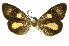  ( - INBIOCRI000808597)  @13 [ ] Copyright (2012) Juan Mata Lorenzen Unspecified