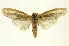  ( - INBIOCRI000809420)  @11 [ ] Copyright (2012) Juan Mata Lorenzen INBio