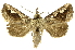  ( - INBIOCRI000809839)  @14 [ ] Copyright (2012) J. Montero INBio