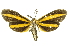  ( - INBIOCRI000825254)  @13 [ ] Copyright (2012) Juan Mata Lorenzen Unspecified
