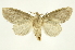  ( - INBIOCRI000843679)  @14 [ ] Copyright (2012) J. Montero INBio