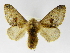  ( - INBIOCRI000844556)  @14 [ ] Copyright (2012) J. Montero Instituto Nacional de Biodiversidad