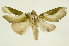  ( - INBIOCRI000847836)  @13 [ ] Copyright (2012) J. Montero INBio