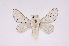  ( - INBIOCRI000858437)  @13 [ ] Copyright (2012) J. Montero Instituto Nacional de Biodiversidad
