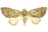  ( - INBIOCRI000921749)  @13 [ ] Copyright (2012) Juan Mata Lorenzen INBio
