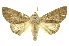  ( - INBIOCRI000931159)  @14 [ ] Copyright (2012) Juan Mata Lorenzen INBio
