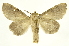 ( - INBIOCRI000932287)  @14 [ ] Copyright (2012) J. Montero INBio