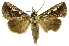  ( - INBIOCRI000954081)  @14 [ ] Copyright (2012) J. Montero INBio