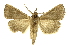  ( - INBIOCRI000954081)  @13 [ ] Copyright (2012) J. Montero INBio